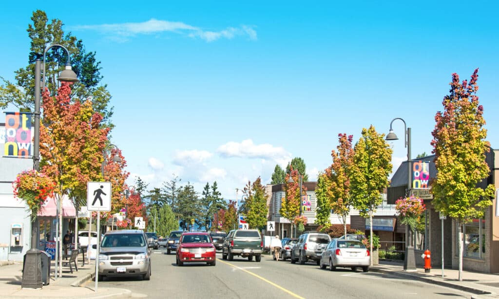 Colorful trees lining a busy street as ad for washroom trailer rental Parksville BC